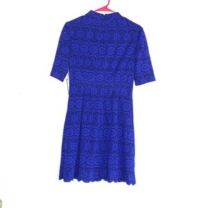 NWT cobalt lace Vince Camuto dress